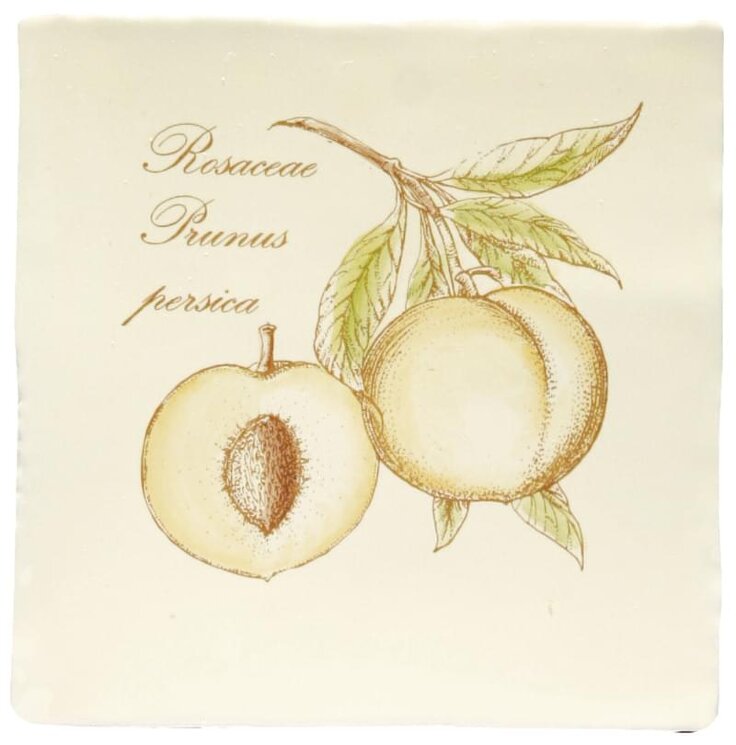 Декор Peach On Palomino 13x13 Residence Winchester з колекції Residence Winchester Декор Peach On Palomino 13x13 Residence Winchester з колекції Residence Winchester