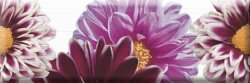 Декор Decor Flowers 02 15x45 Aure Absolut Keramika Декор Decor Flowers 02 15x45 Aure Absolut Keramika