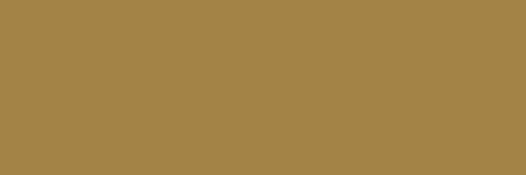 Плитка Basic Autumn Nature 100x300 XLight Urbatek з колекції XLight Urbatek