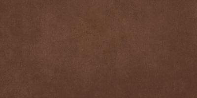 Плитка SPR Moka 44.3x89.3 Ruhr Vives з колекції Ruhr Vives