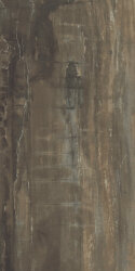 Плитка (29.6x59.4) PO360R Petrified Wood Brown Rettificato - Petrified Wood
