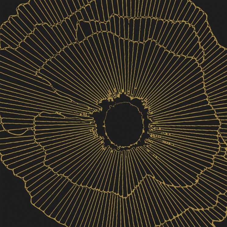 Плитка 29,75x29,75 Art-Deco Black Spritz Natural-Art-Deco з колекції Art-Deco Aparici Плитка 29,75x29,75 Art-Deco Black Spritz Natural-Art-Deco з колекції Art-Deco Aparici