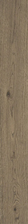 Плитка Vivo Tabacco Rt - 22.5x180 MMD6 Vivo з колекції Vivo Marazzi
